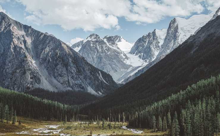 GA黄金甲-2026世界杯吉祥物：北美之灵，科伊登场